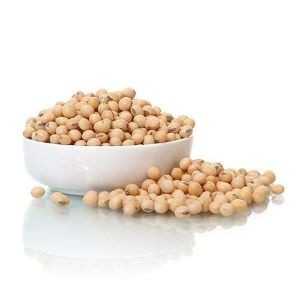 Soya bean seed 500 g