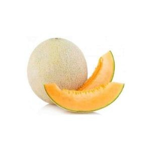 Shamam - musk melon keerni 1pcs