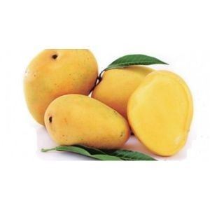 Mango beganapalli 1 kg