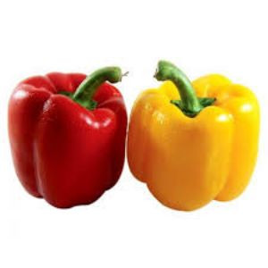 Capsicum colour 250 g