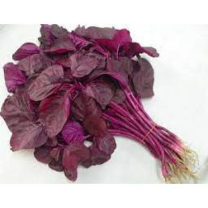Cheera Red Bunch