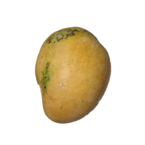 Mango Belgana