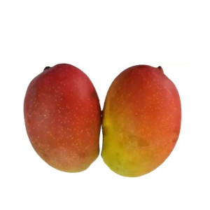 Mango Swarna