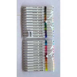 Camlin Brush Pen 24 Shades