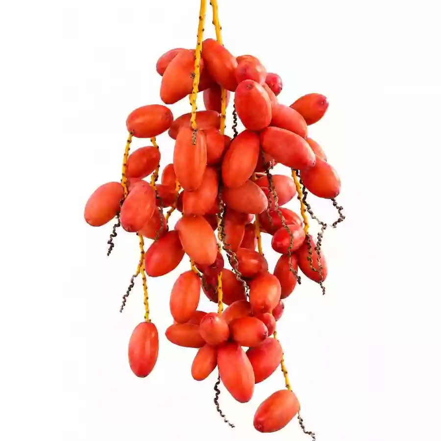 Kajur Red 500 g