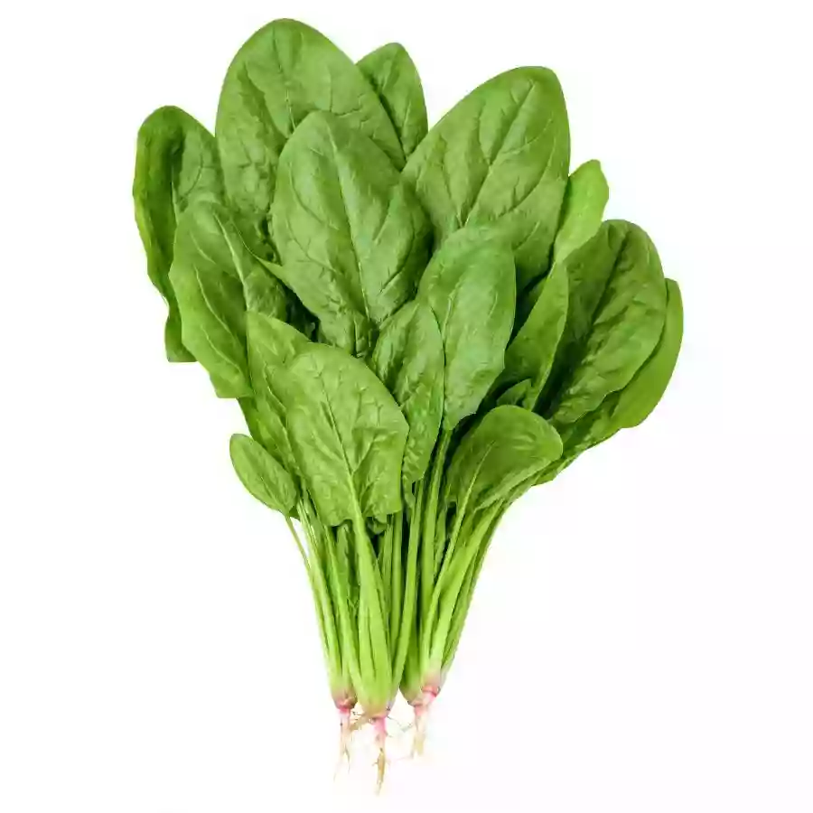 Palak Bunch